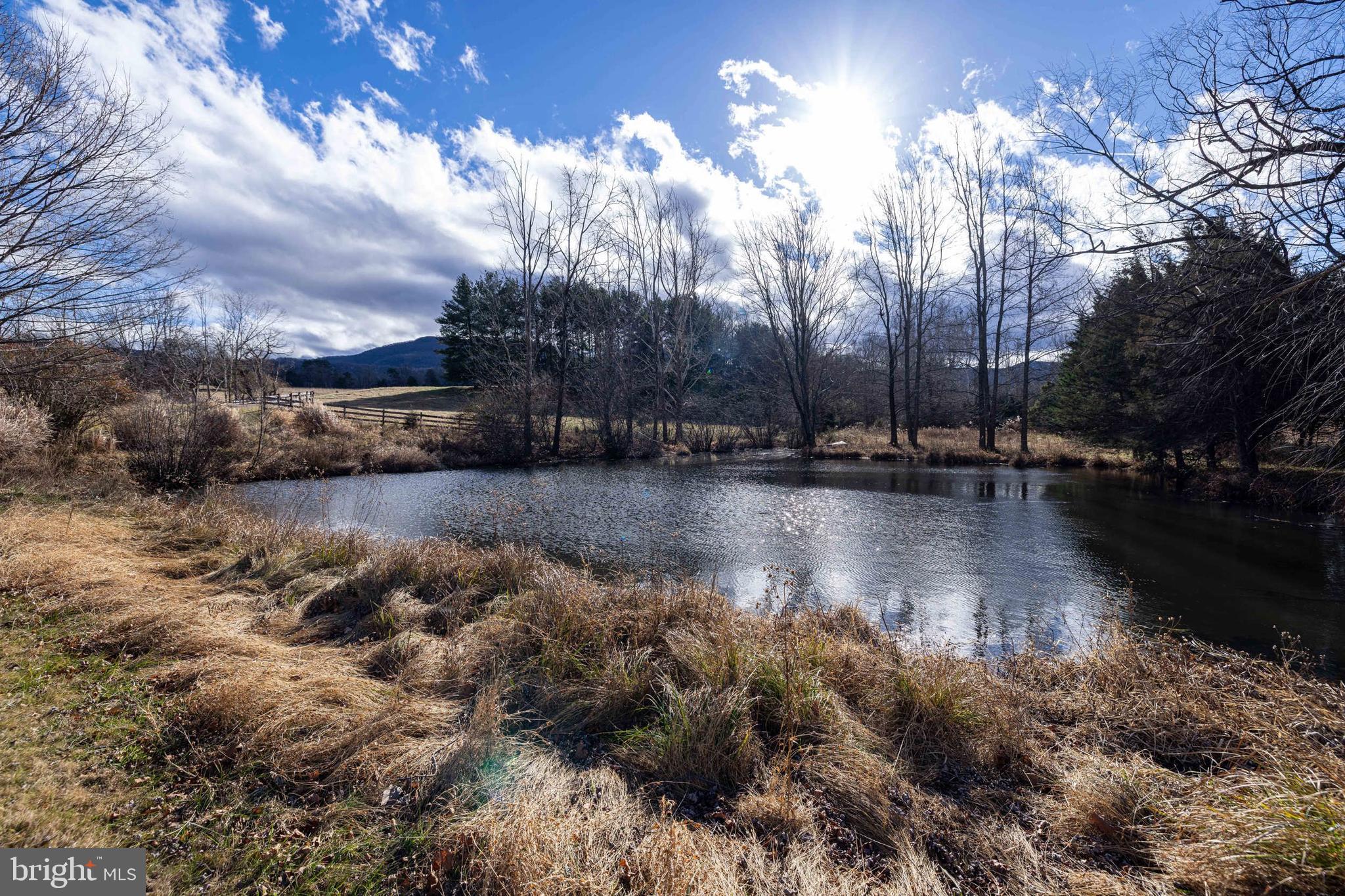 1159 Pine Grove Road Stanley, VA 22851 - Photo 118 of 149