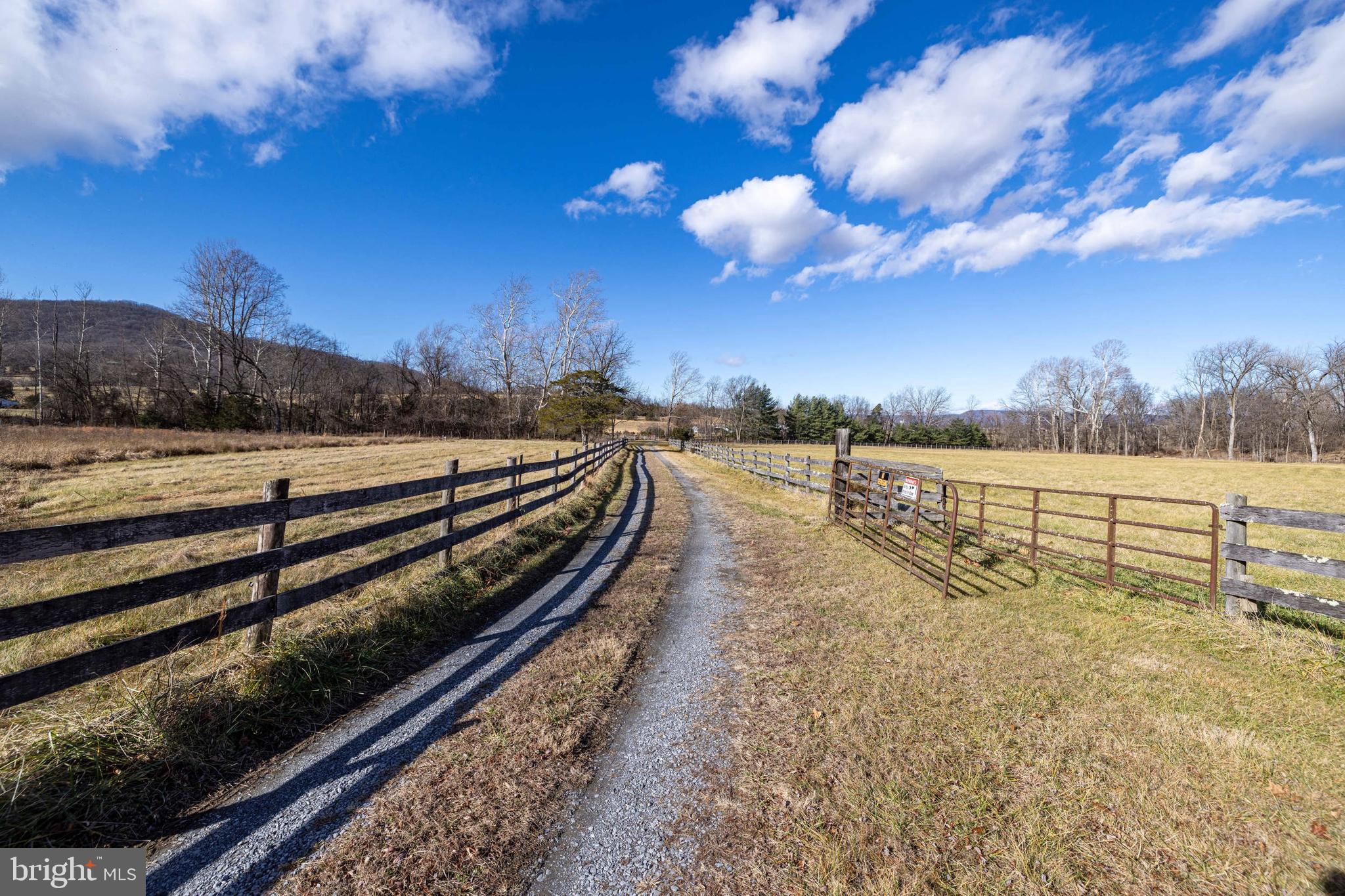 1159 Pine Grove Road Stanley, VA 22851 - Photo 119 of 149