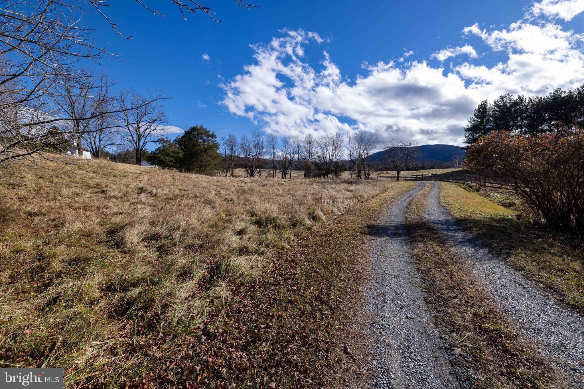 1159 Pine Grove Road Stanley, VA 22851 - Photo 121 of 149