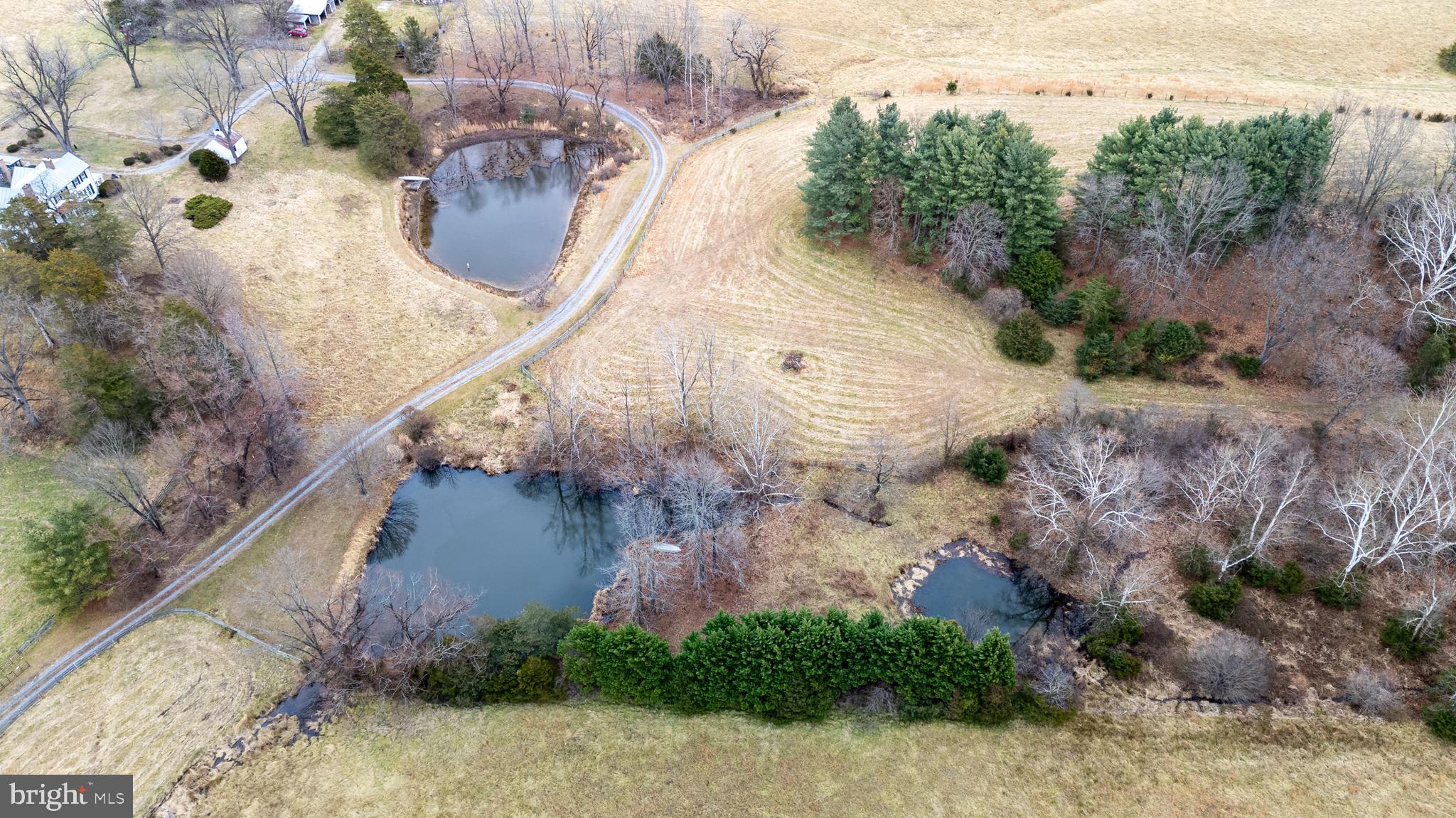 1159 Pine Grove Road Stanley, VA 22851 - Photo 134 of 149