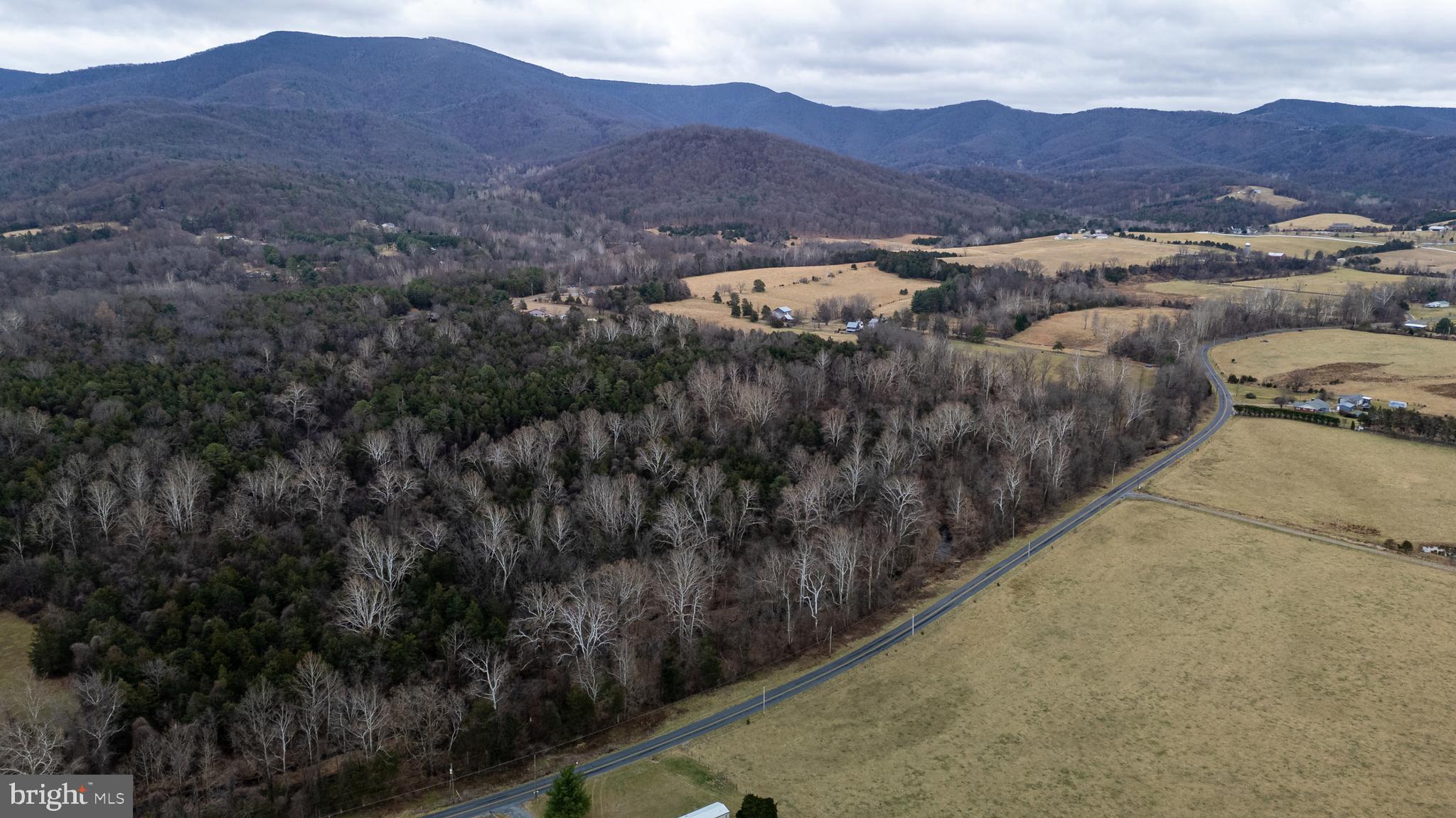 1159 Pine Grove Road Stanley, VA 22851 - Photo 140 of 149