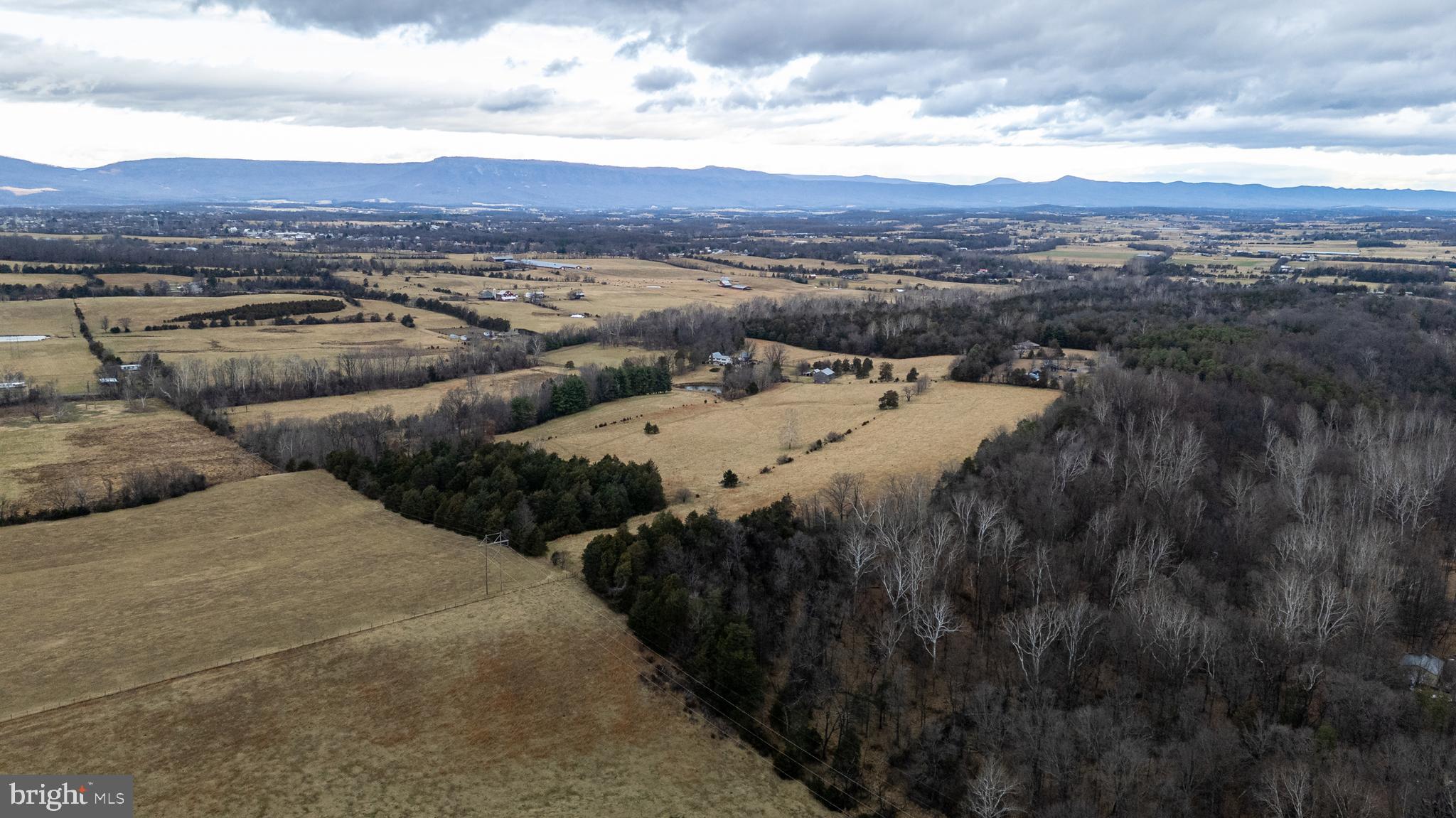 1159 Pine Grove Road Stanley, VA 22851 - Photo 148 of 149