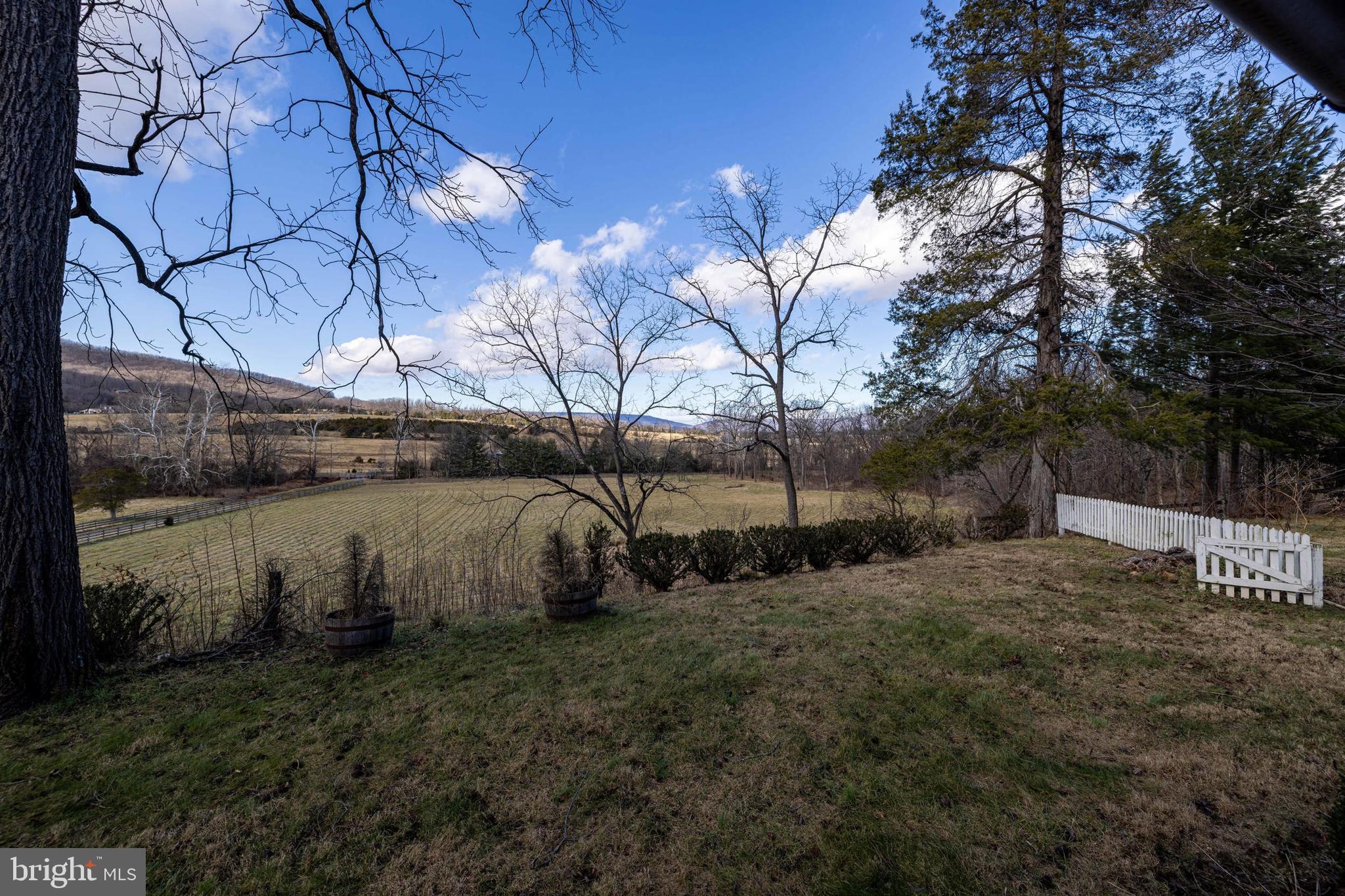 1159 Pine Grove Road Stanley, VA 22851 - Photo 89 of 149