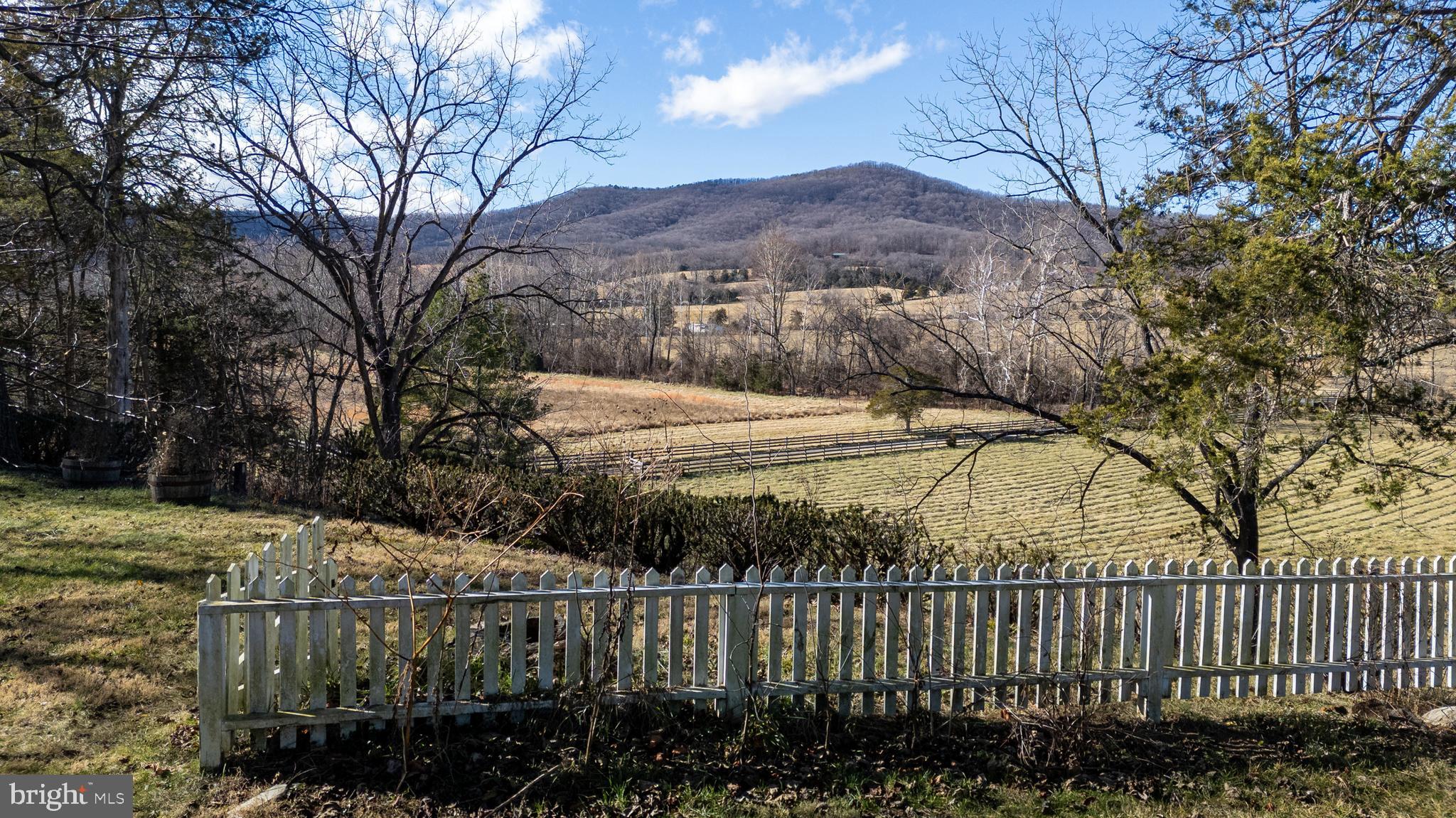 1159 Pine Grove Road Stanley, VA 22851 - Photo 92 of 149