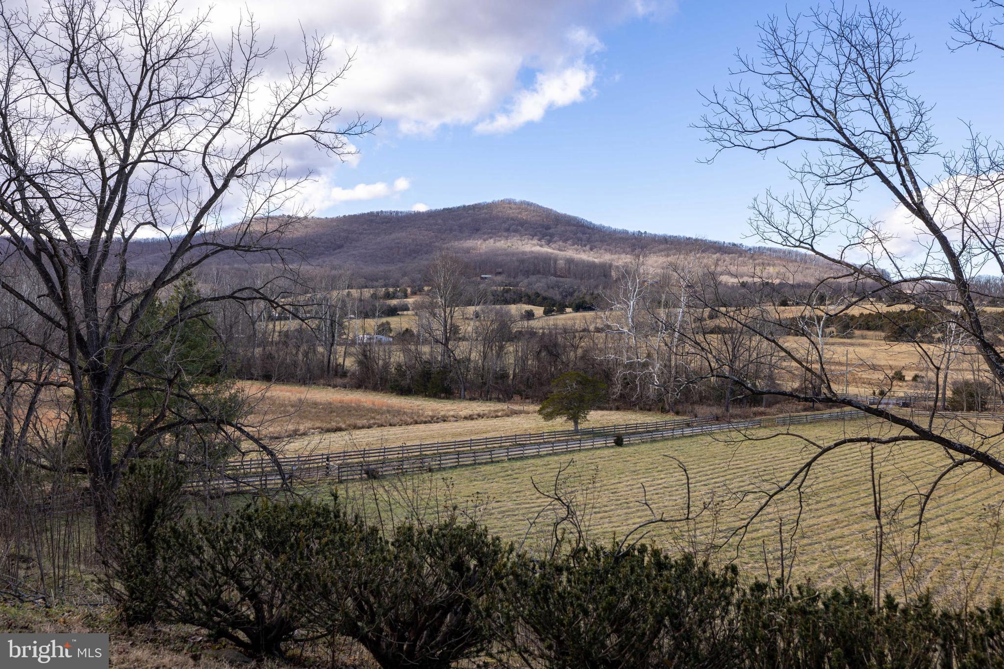 1159 Pine Grove Road Stanley, VA 22851 - Photo 93 of 149