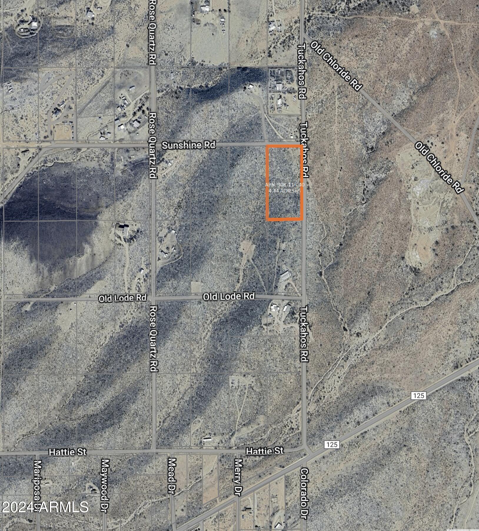 6054 Sunshine Road Chloride, AZ 86431 - Photo 2 of 10 6054 W Sunshine RD