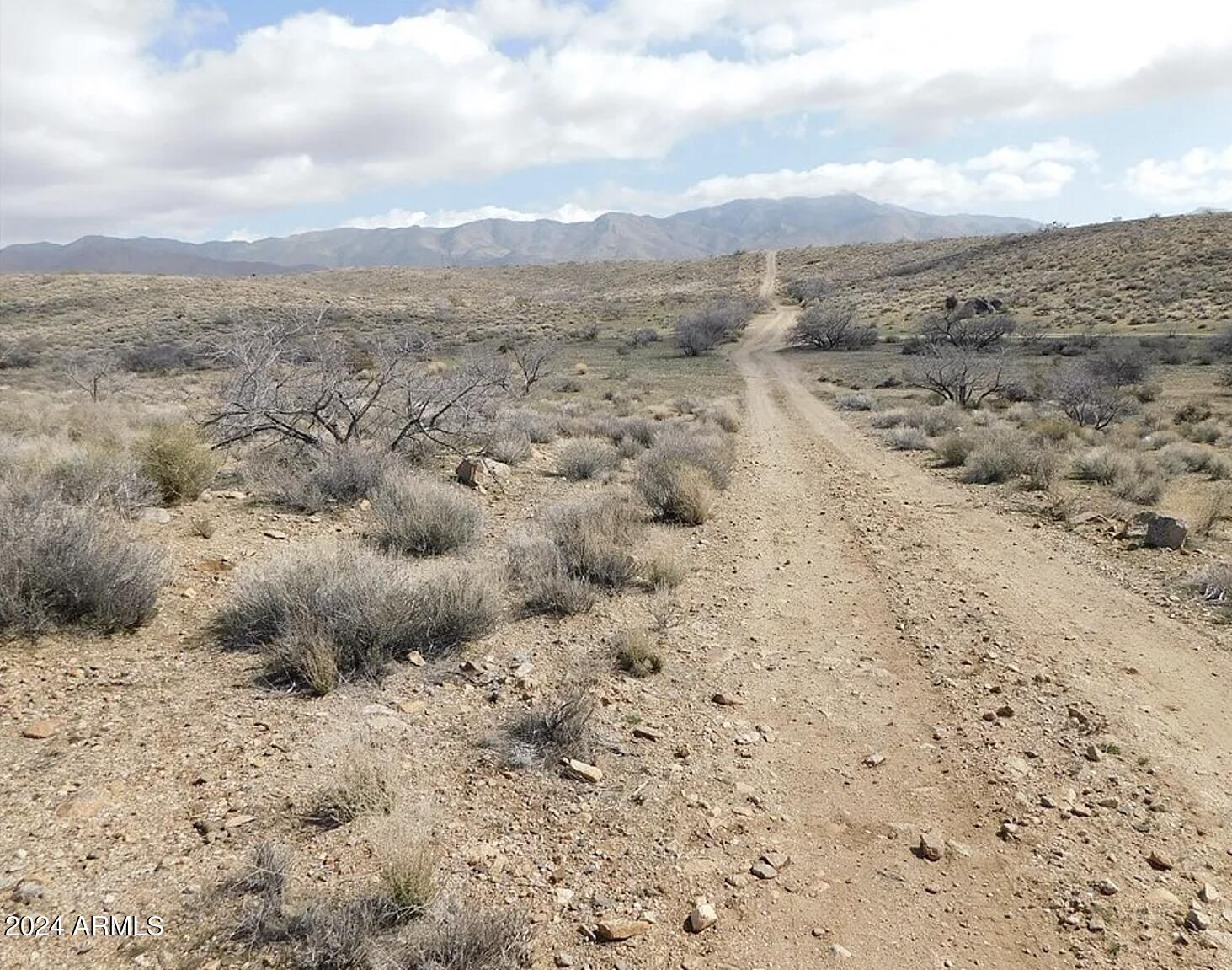 6054 Sunshine Road Chloride, AZ 86431 - Photo 5 of 10 6054 W Sunshine RD