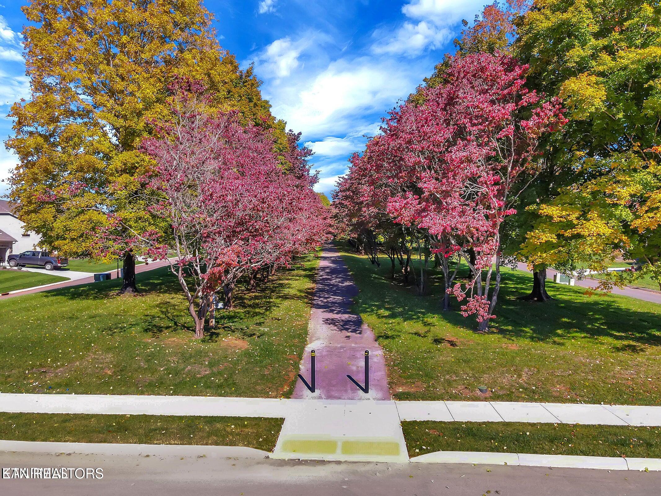 11910 Sandy Run Road Knoxville, TN 37934 - Photo 29 of 41 20211111150448386651000000-o