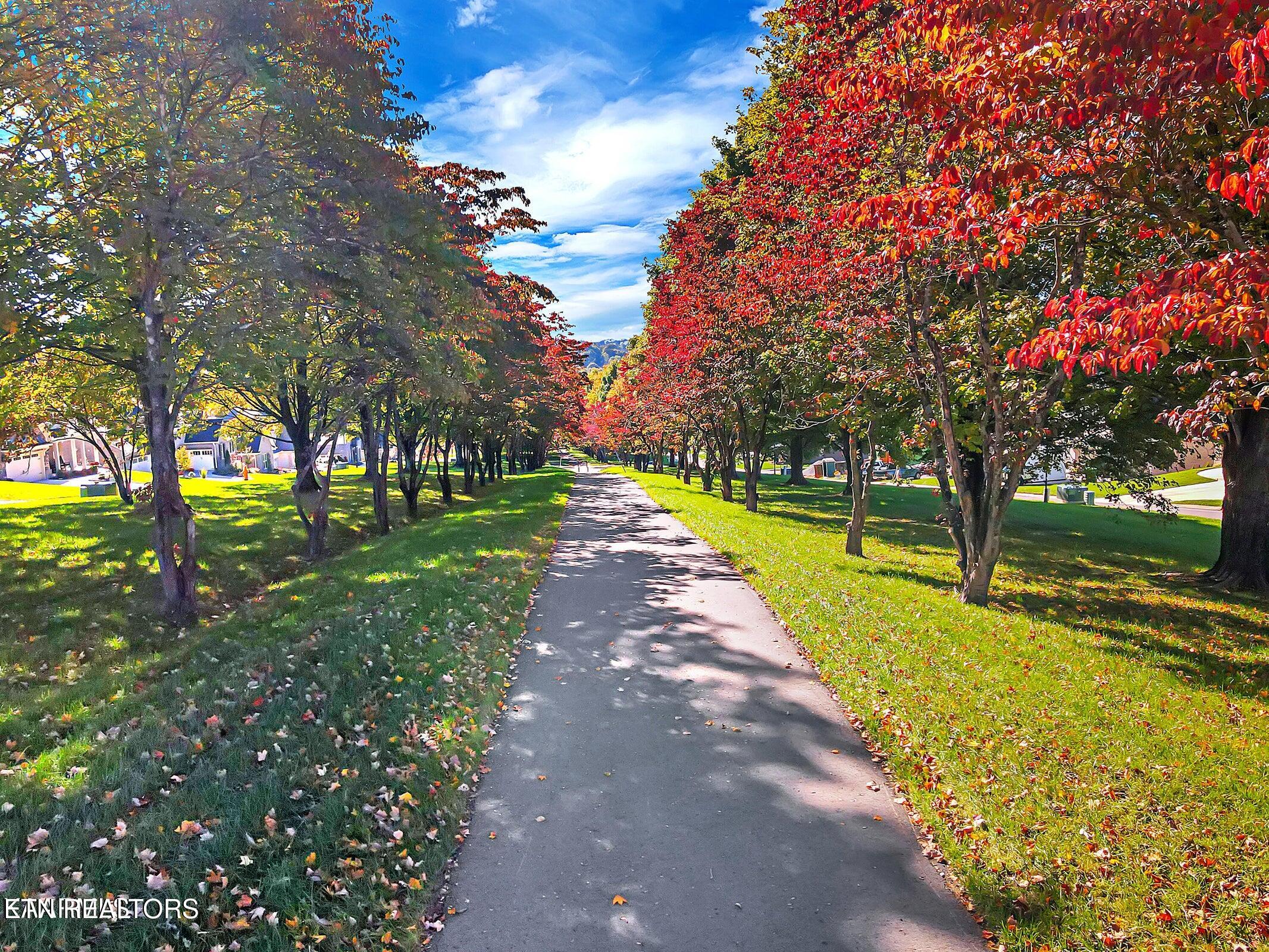 11910 Sandy Run Road Knoxville, TN 37934 - Photo 31 of 41 20211111151323763979000000-o