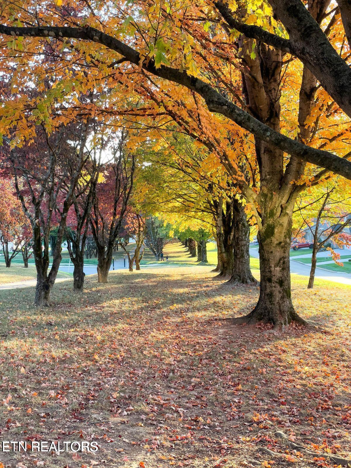 11910 Sandy Run Road Knoxville, TN 37934 - Photo 32 of 41 20231026145521452984000000-o