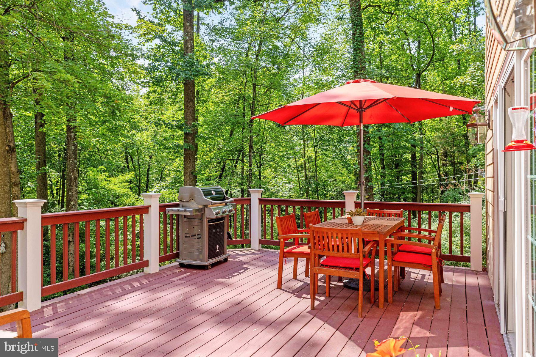 6168 Greenhill Road New Hope, PA 18938 - Photo 15 of 50 Terrace