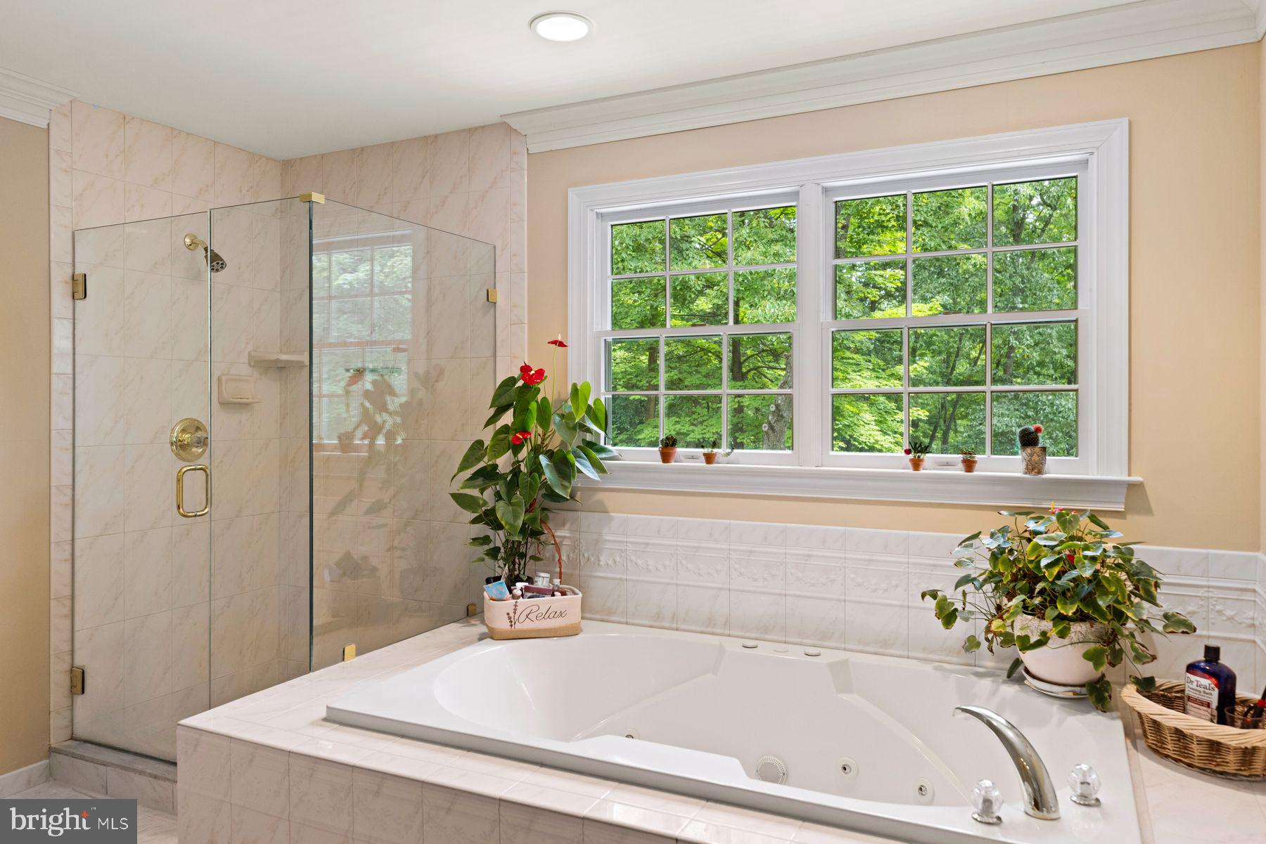 6168 Greenhill Road New Hope, PA 18938 - Photo 26 of 50 Seamless Glass Shower