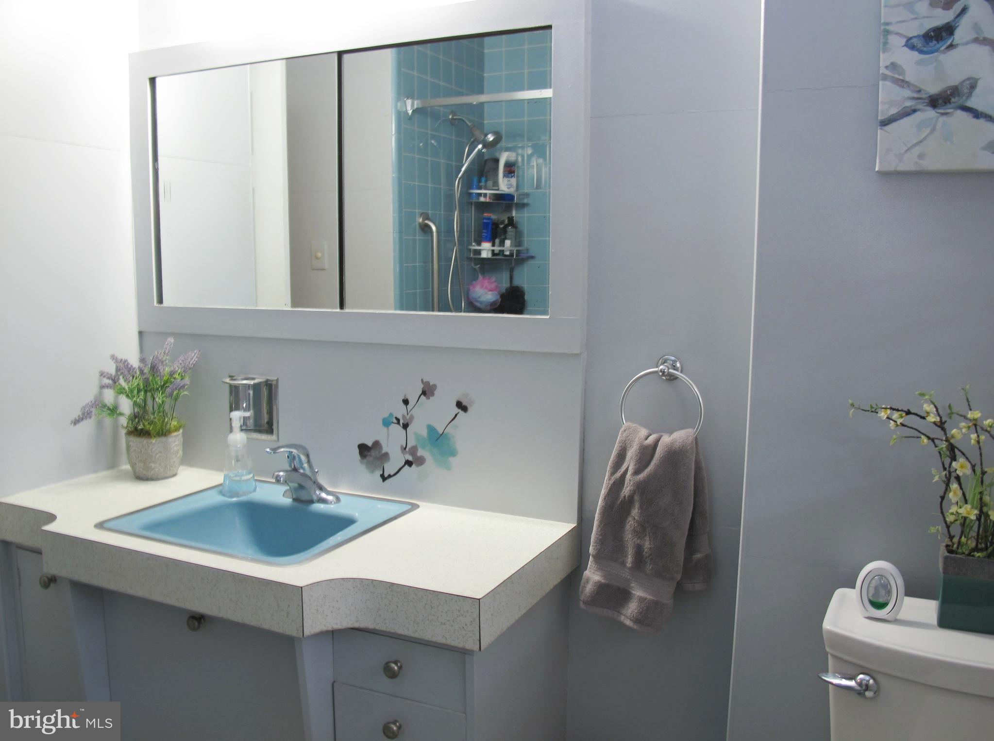 494 Arbor Road Cinnaminson, NJ 08077 - Photo 22 of 33 Main Bathroom too...