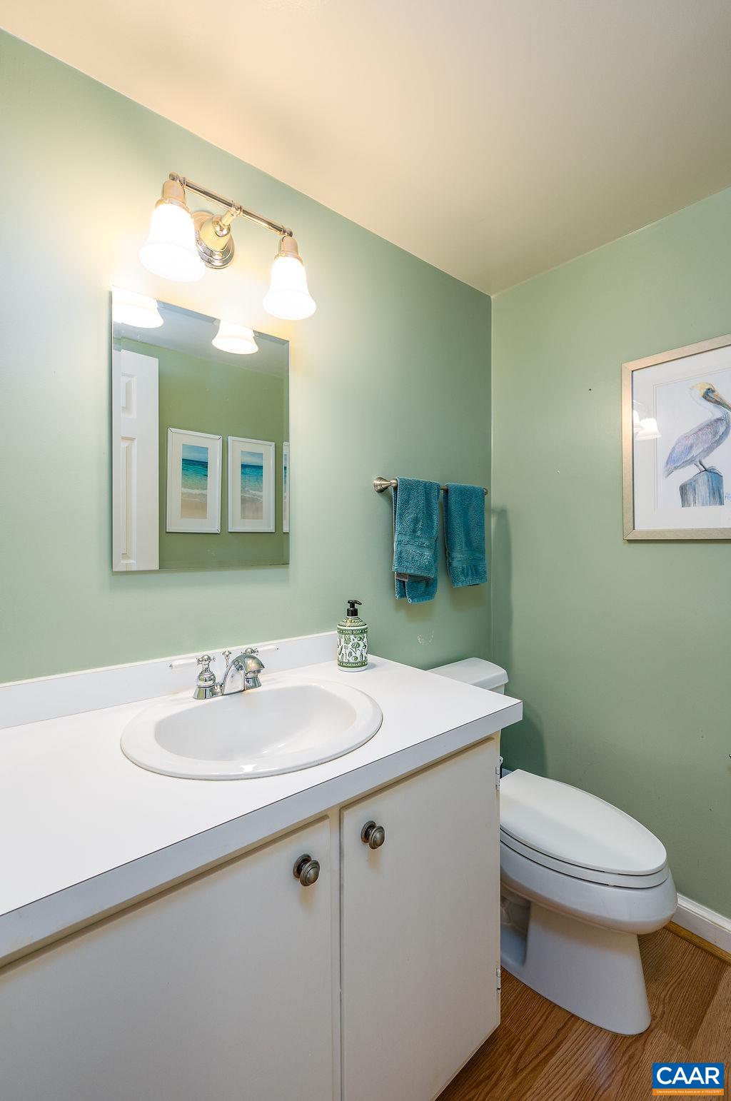 960 Windsor Road Charlottesville, VA 22901 - Photo 36 of 51 a bathroom with a toilet sink and mirror