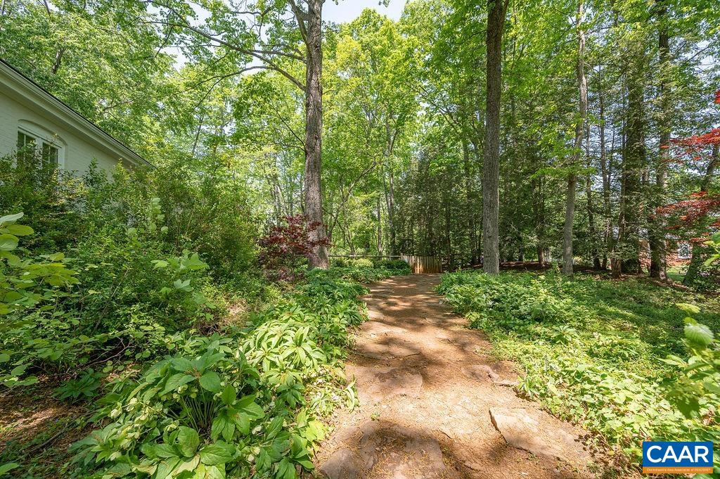 960 Windsor Road Charlottesville, VA 22901 - Photo 47 of 51 a view of a yard with plants and large trees
