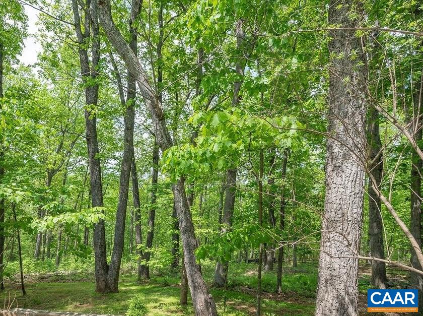 960 Windsor Road Charlottesville, VA 22901 - Photo 49 of 51 a view of outdoor space and trees