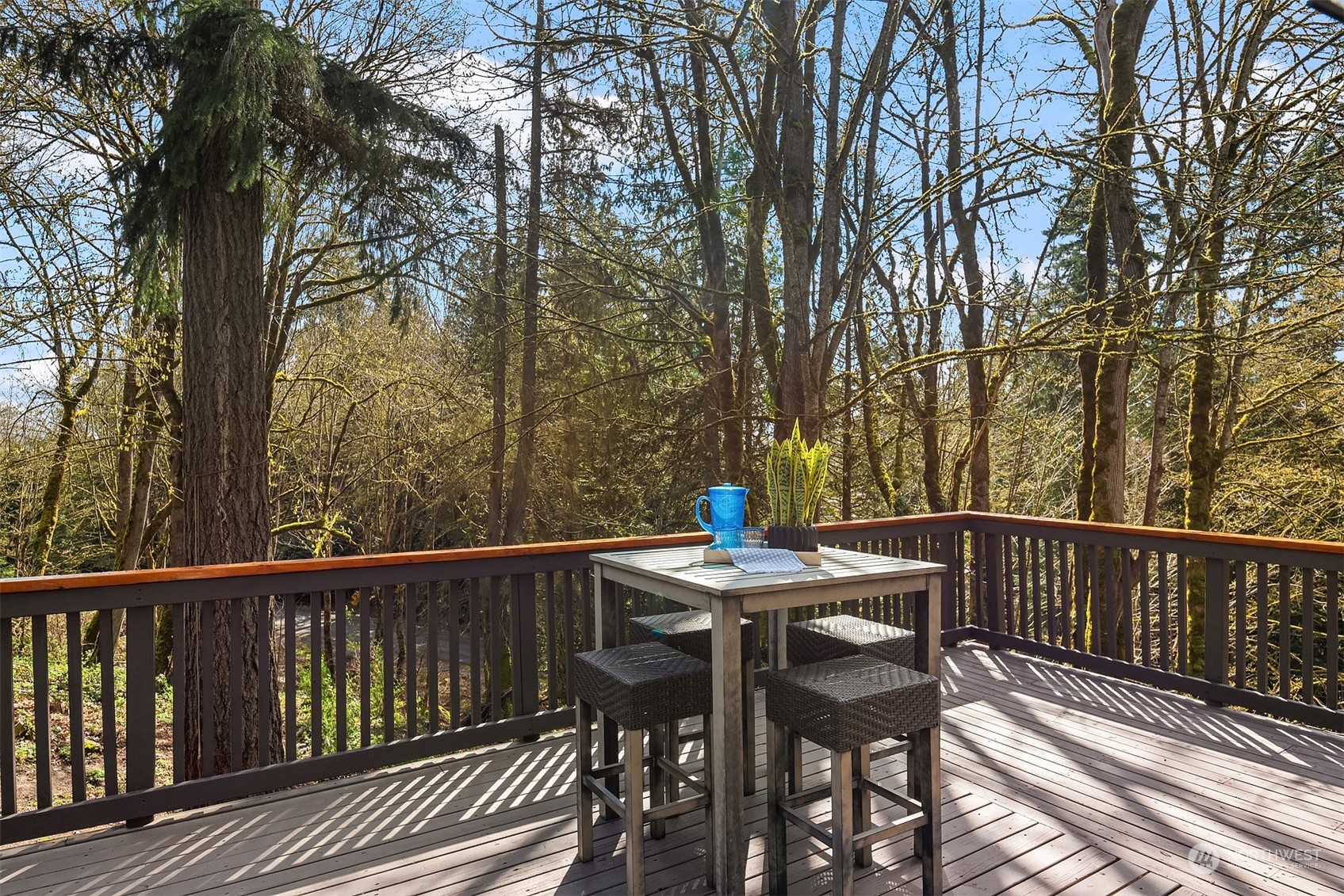 17548 Southeast 110th Street Renton, WA 98059 - Photo 16 of 37 a view of backyard from deck having patio