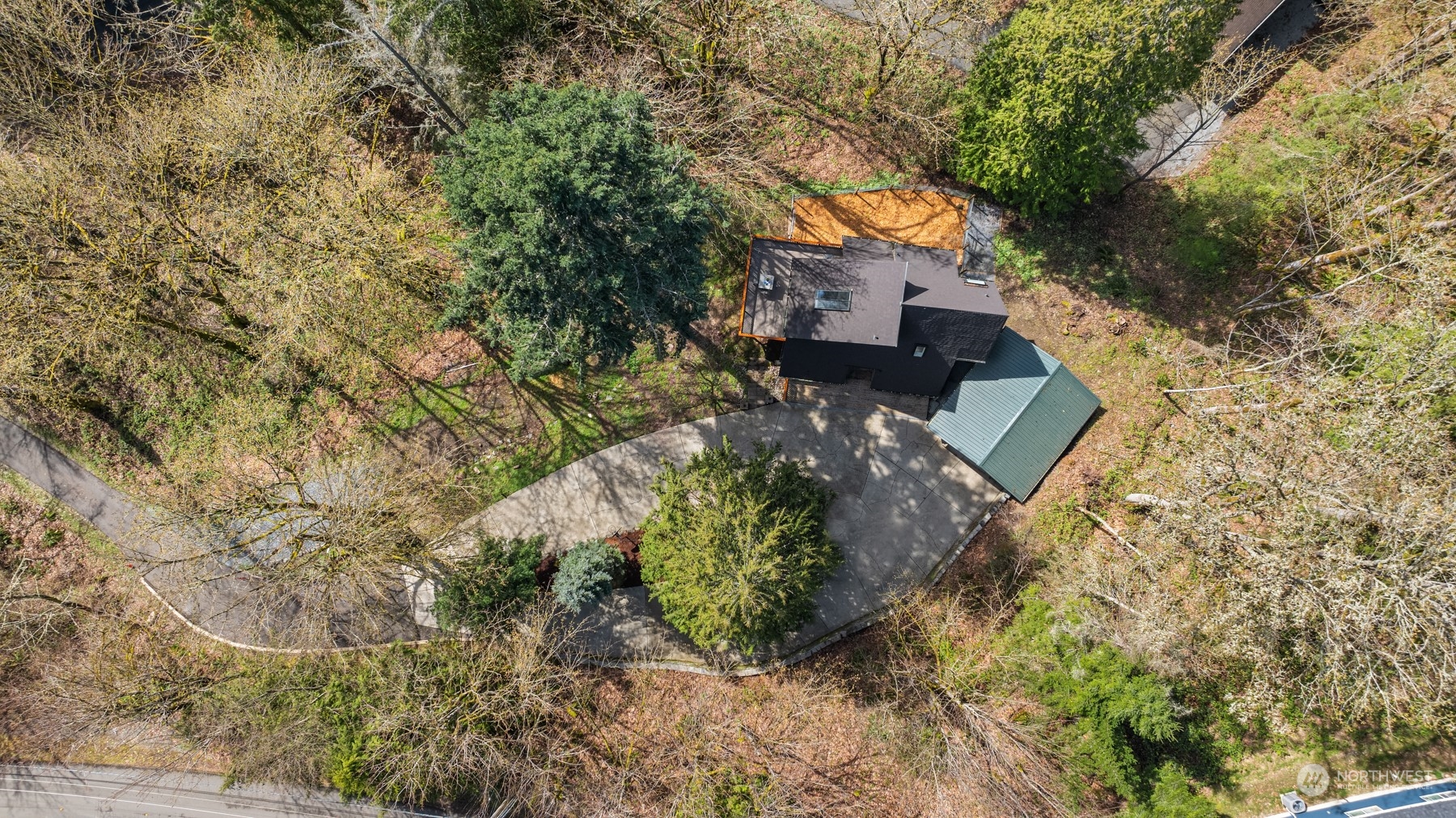 17548 Southeast 110th Street Renton, WA 98059 - Photo 35 of 37 a picture of trees