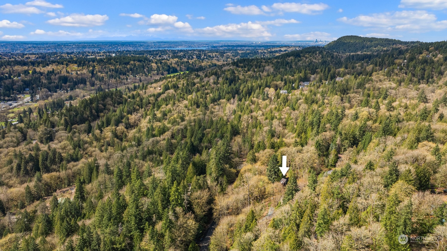 17548 Southeast 110th Street Renton, WA 98059 - Photo 36 of 37 an aerial view of residential houses with outdoor space and mountain view