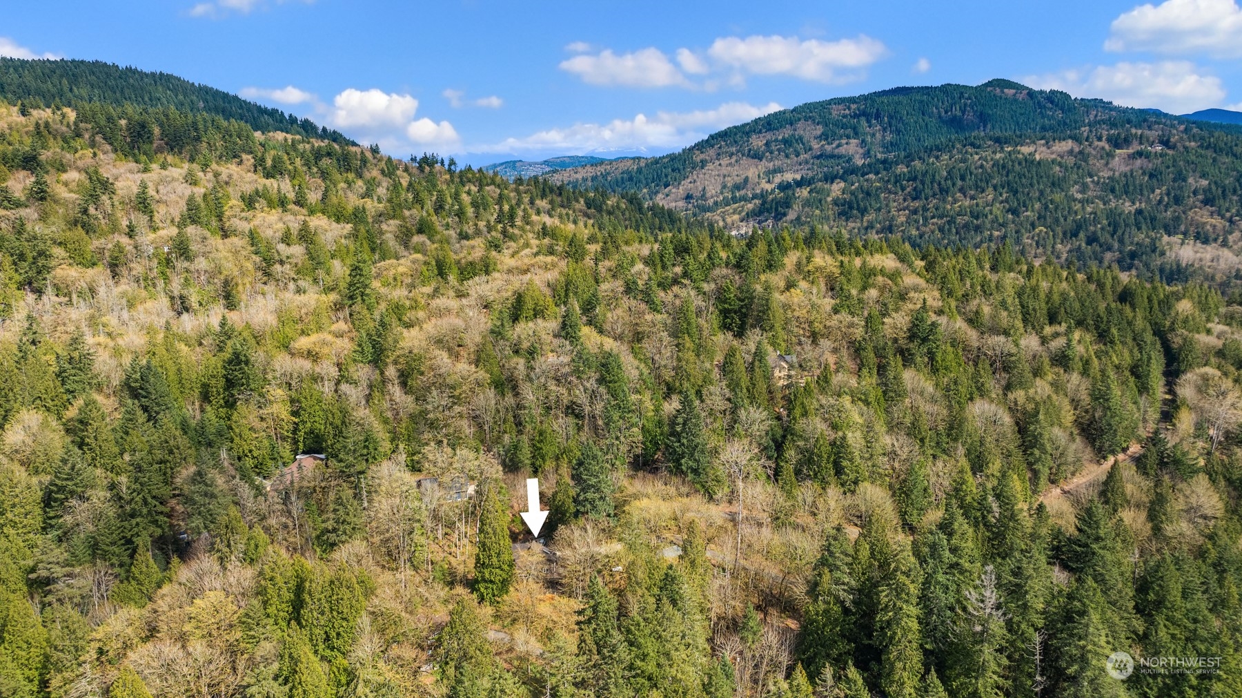 17548 Southeast 110th Street Renton, WA 98059 - Photo 37 of 37 a view of a bunch of mountains