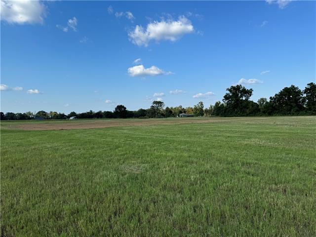 4520 Navy's Way Road Boyce, LA 71409 - Photo 9 of 15
