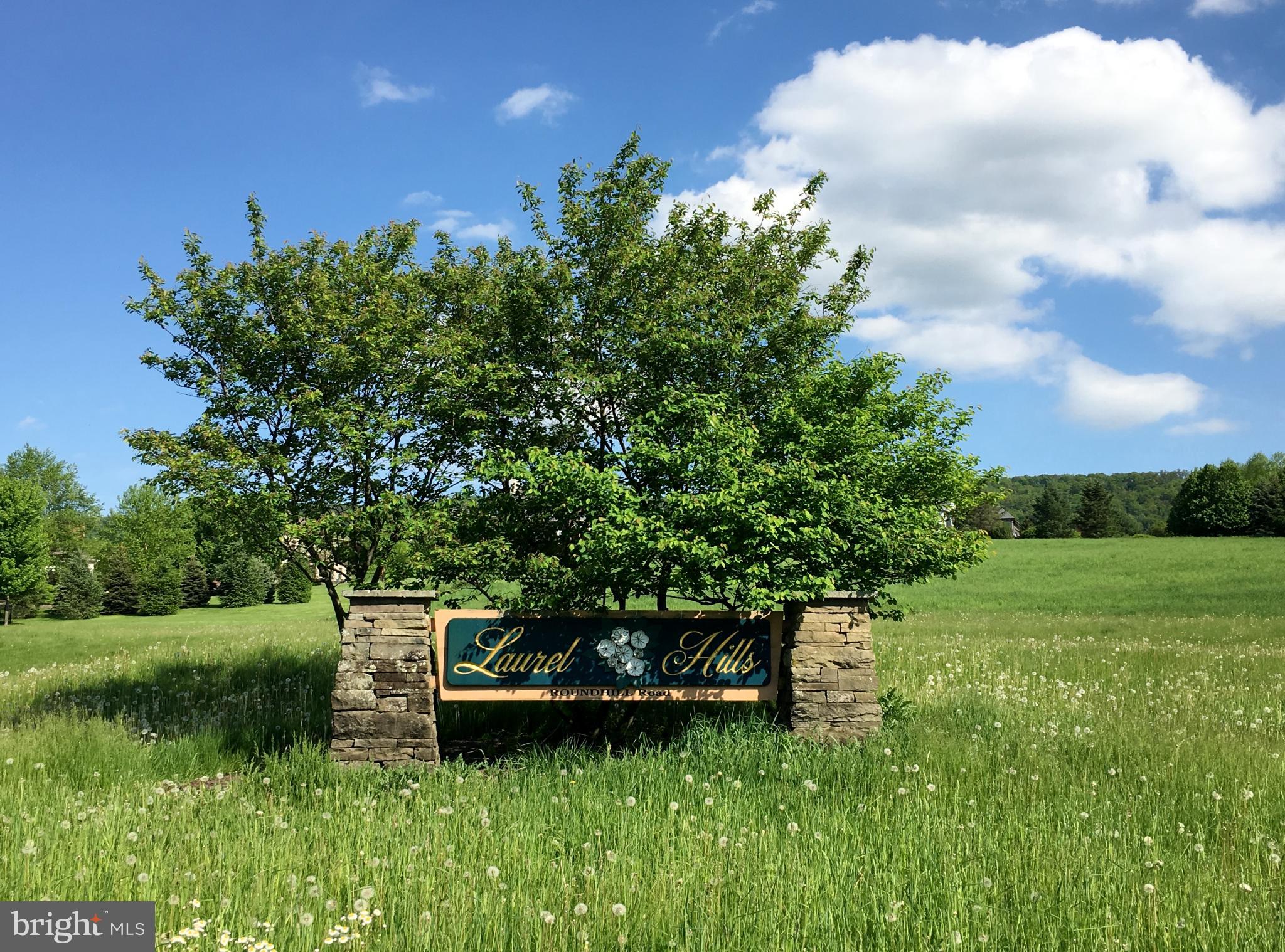 a view of a garden with a bench in a garden