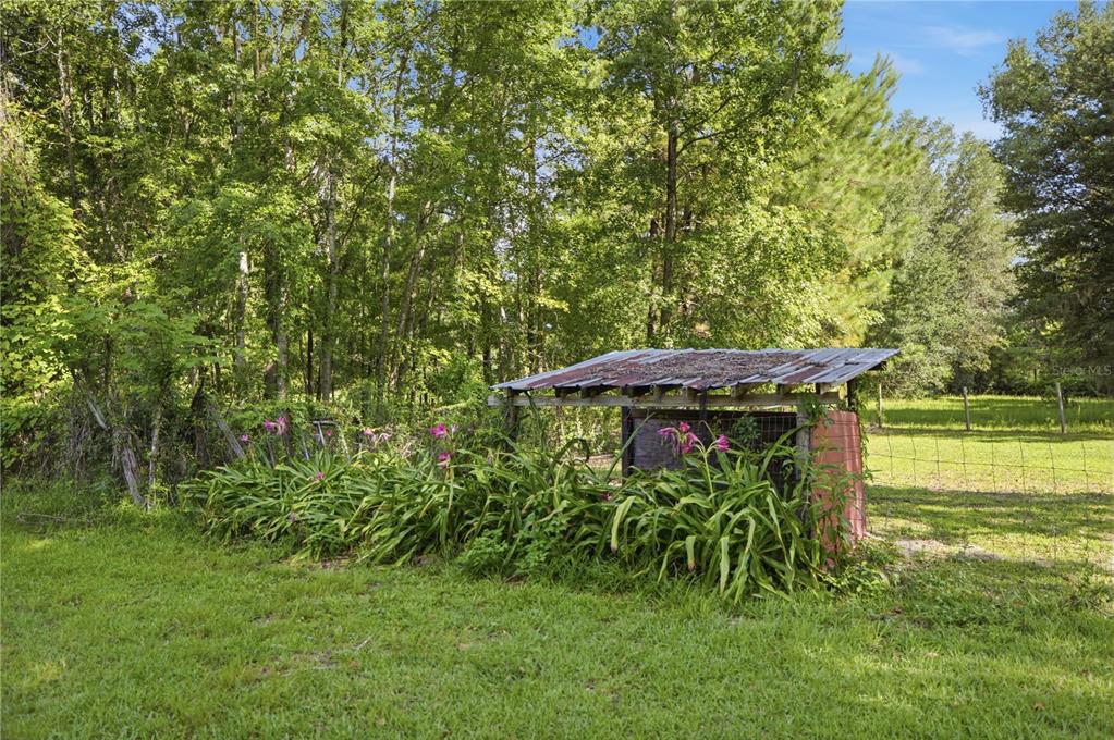 17900 Northwest 120th Avenue Road Reddick, FL 32686 - Photo 17 of 45 a view of a backyard with plants and a garden