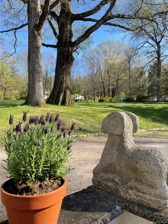 a view of a garden with a tree