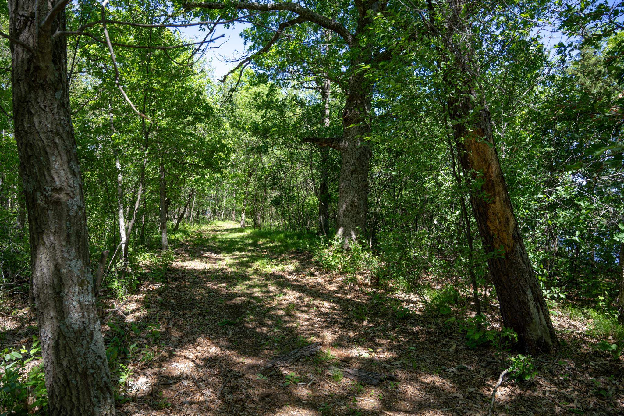 N14672 Porter Road Nekoosa, WI 54457 - Photo 17 of 51