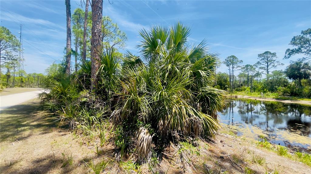 Tbd Southwest 101st Lane Cedar Key, FL 32625 - Photo 8 of 11