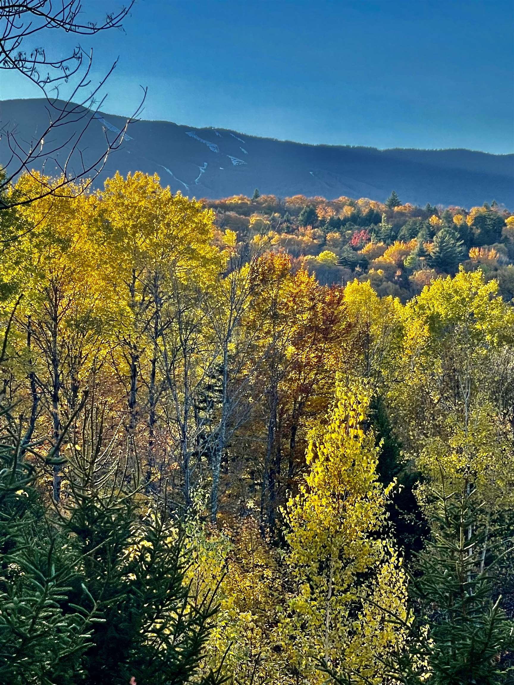 136 Old Quarry Road Fayston, VT 05673 - Photo 7 of 28
