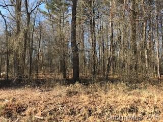 300-block Joe Summers Road Woodleaf, NC 27054 - Photo 1 of 1 Gallery Image 1