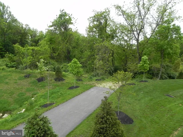 a view of a yard with a tree