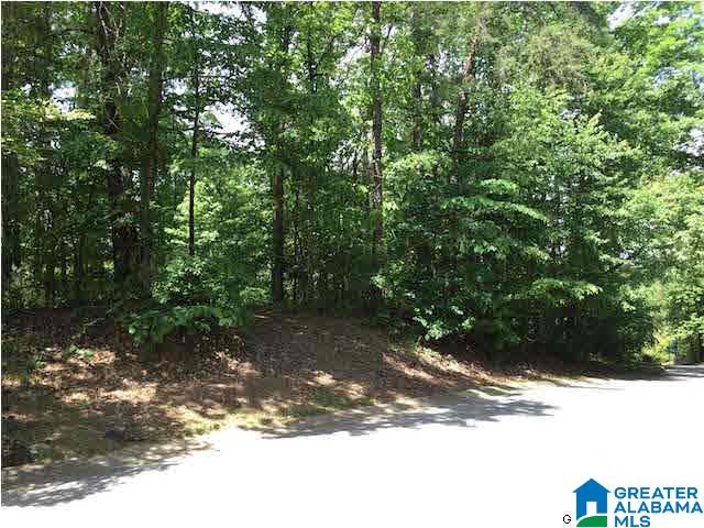 0 Wine Ridge Lane Birmingham, AL 35244 - Photo 1 of 2