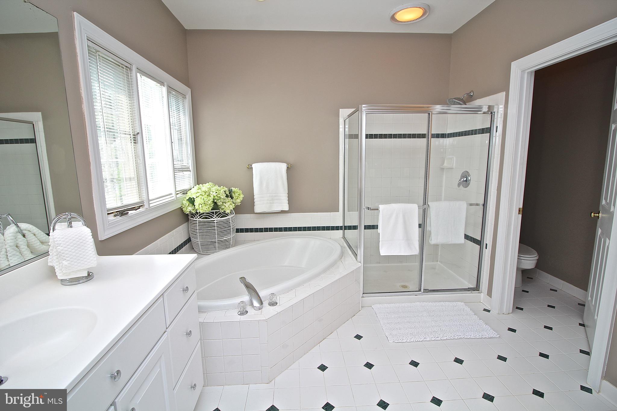 14416 Clubhouse Road Gainesville, VA 20155 - Photo 24 of 38 Luxury Master Bath
