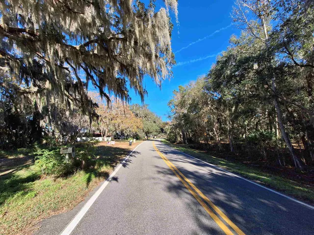 a view of backyard with green space