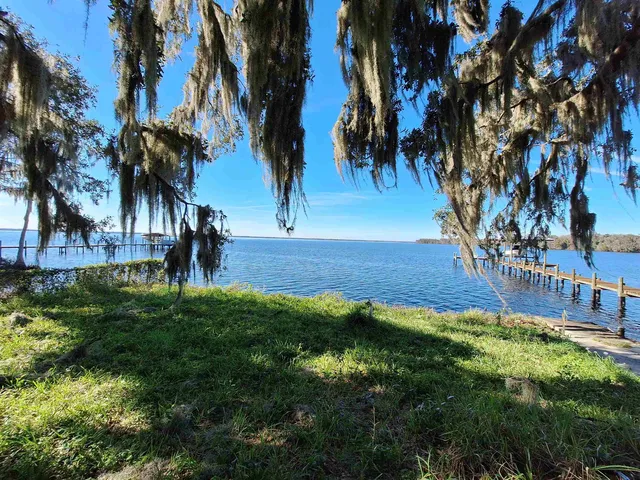 a view of backyard with palm trees