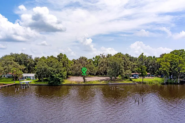 a plant that is in a garden