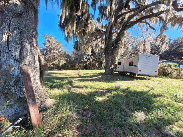 a view of a yard with large trees