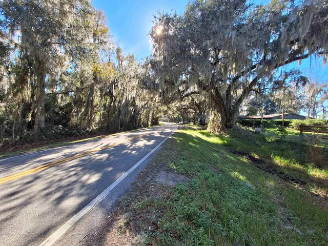 a view of a yard with flower plants