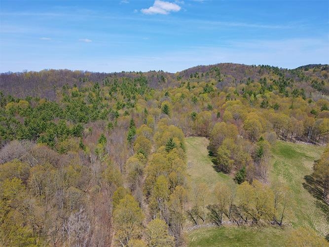1082 Frog Hollow Road Hubbardton, VT 05735 - Photo 12 of 30