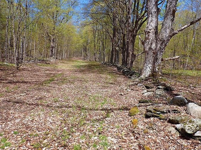 1082 Frog Hollow Road Hubbardton, VT 05735 - Photo 16 of 30