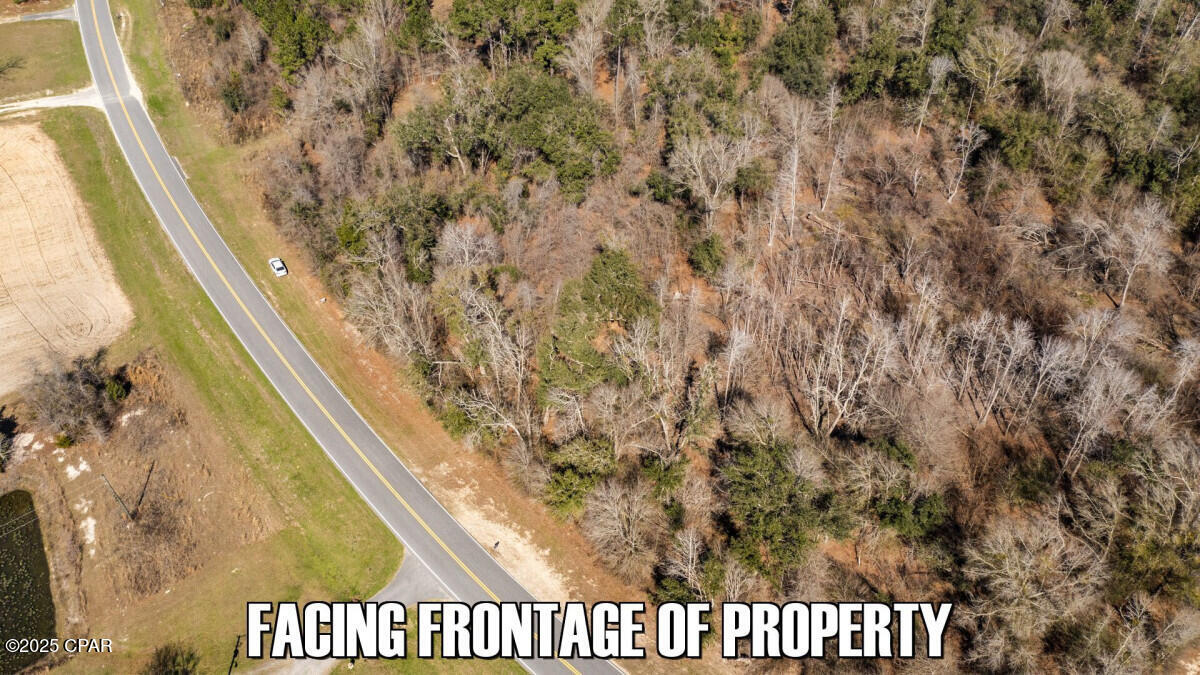 Tbd Salem Church Road Sneads, FL 32460 - Photo 13 of 21 Gallery Image 13