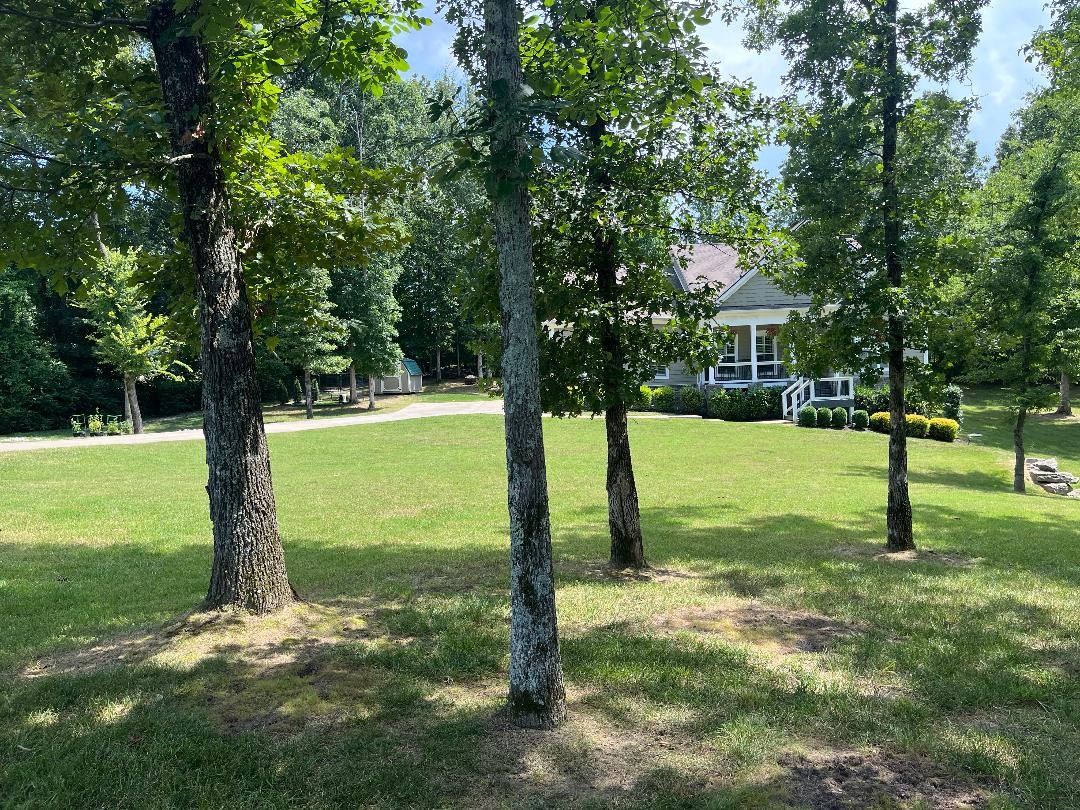 7345 Taylor Road Fairview, TN 37062 - Photo 64 of 65