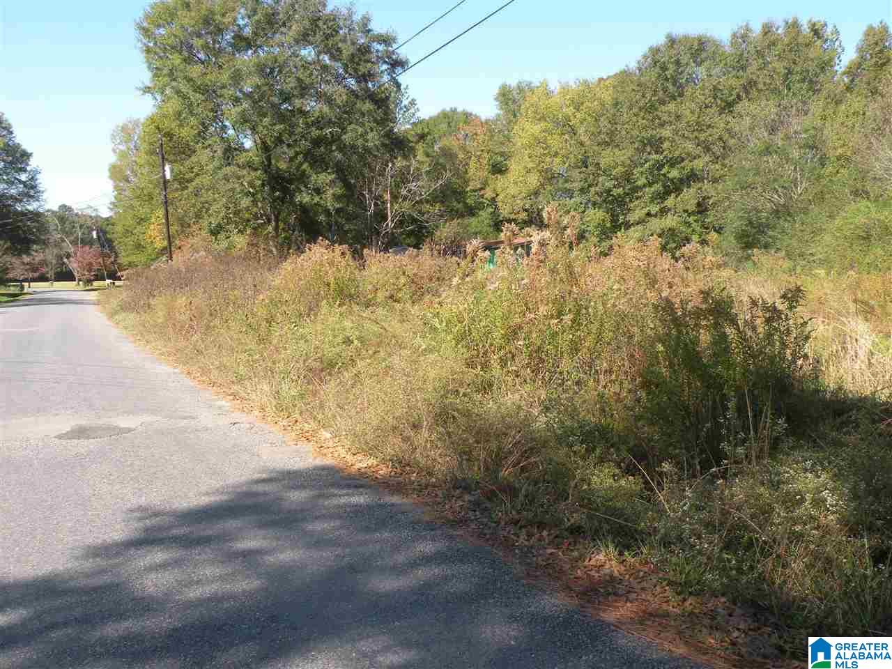 163 Thurman Road Talladega, AL 35160 - Photo 19 of 22