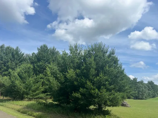 $222,500 | 249 Dyke Avenue, Grand Marsh, WI 53936