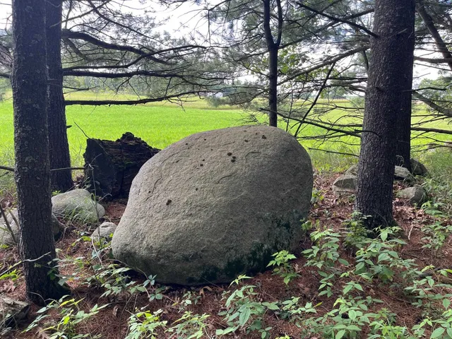 $225,000 | 249 Dyke Avenue, Grand Marsh, WI 53936