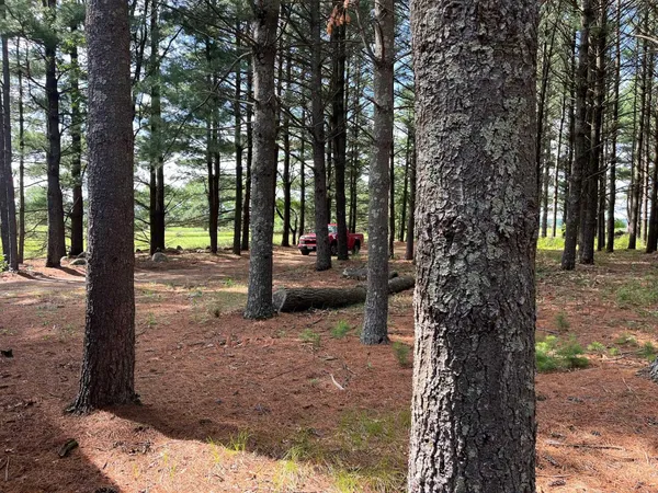 $222,500 | 249 Dyke Avenue, Grand Marsh, WI 53936