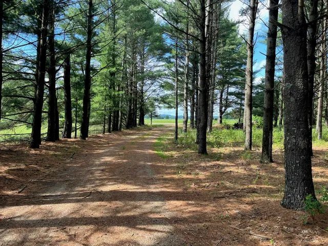 $225,000 | 249 Dyke Avenue, Grand Marsh, WI 53936