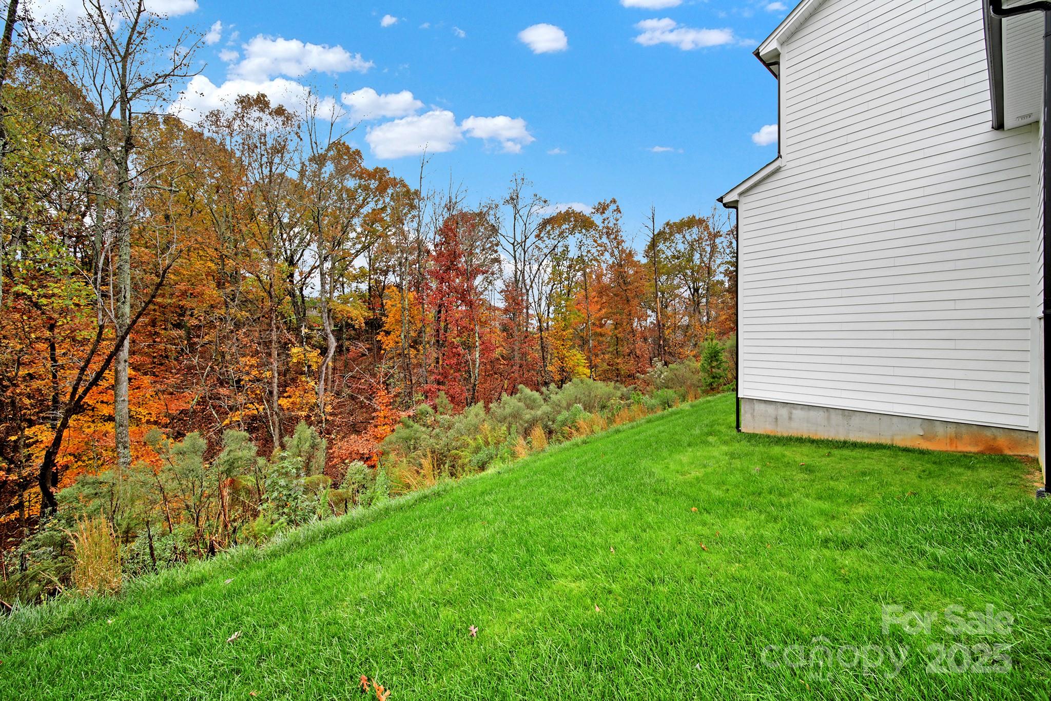 330 Forsythia Lane Fort Mill, SC 29708 - Photo 35 of 47